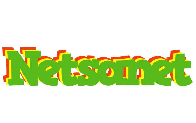 Netsanet crocodile logo