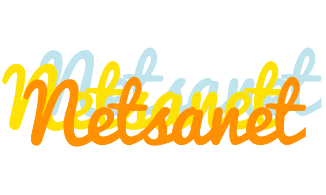Netsanet energy logo