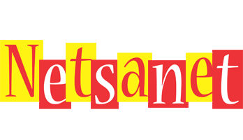 Netsanet errors logo