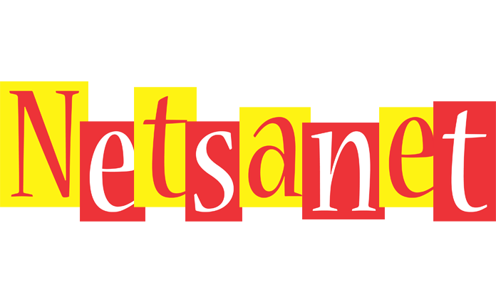 Netsanet errors logo