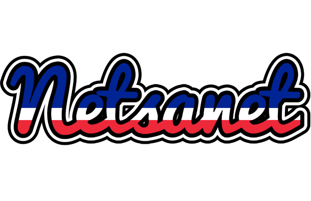 Netsanet france logo