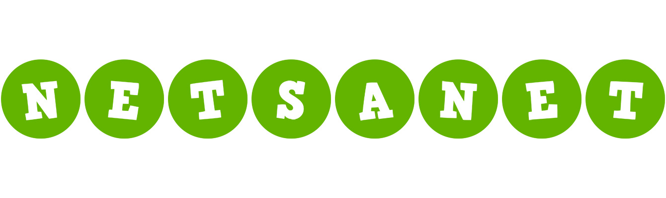 Netsanet games logo