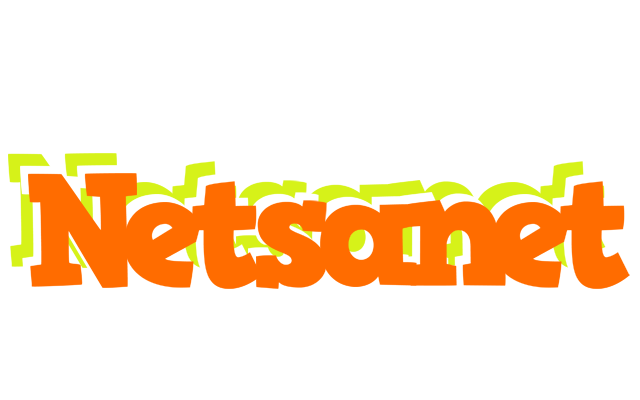 Netsanet healthy logo