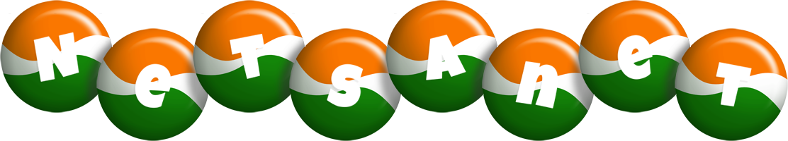 Netsanet india logo