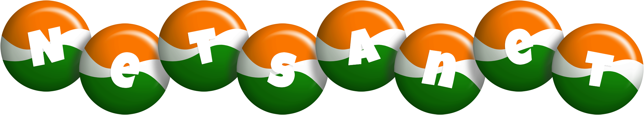 Netsanet india logo