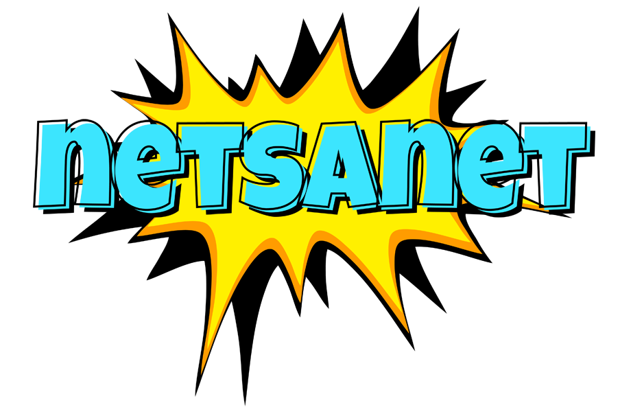 Netsanet indycar logo