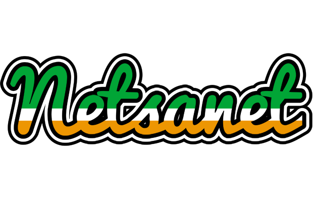 Netsanet ireland logo