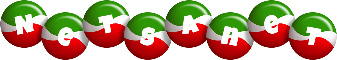 Netsanet italy logo