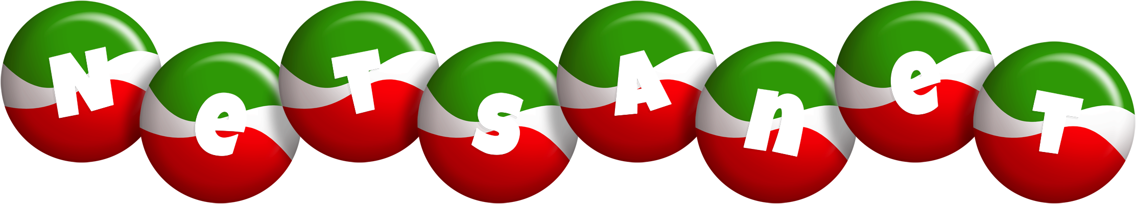 Netsanet italy logo