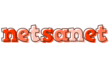 Netsanet paint logo
