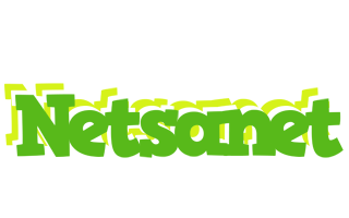 Netsanet picnic logo