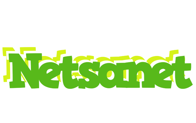 Netsanet picnic logo