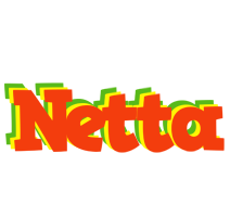 Netta bbq logo