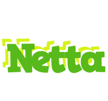 Netta picnic logo