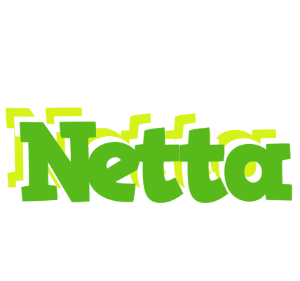 Netta picnic logo