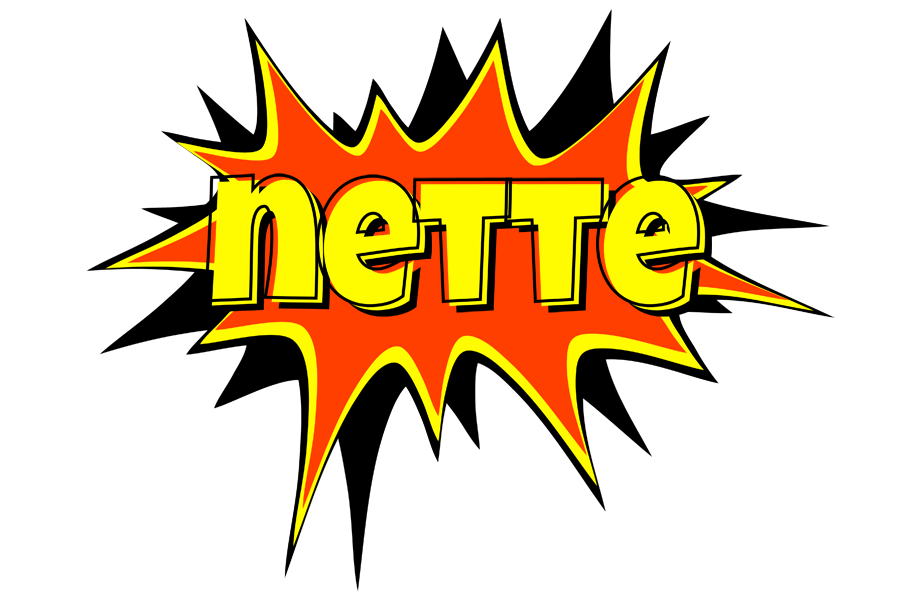 Nette bazinga logo