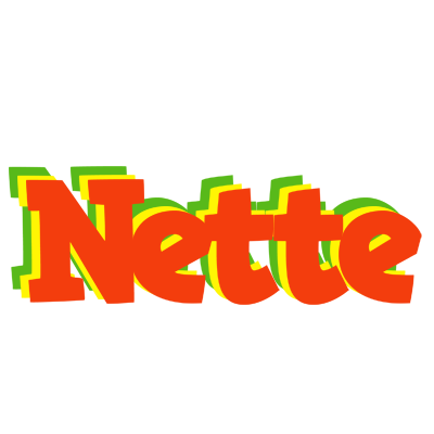 Nette bbq logo