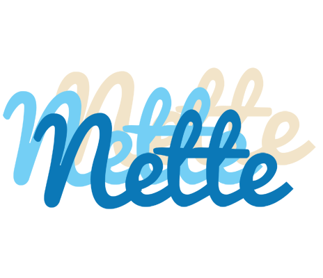 Nette breeze logo