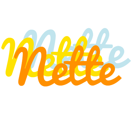 Nette energy logo