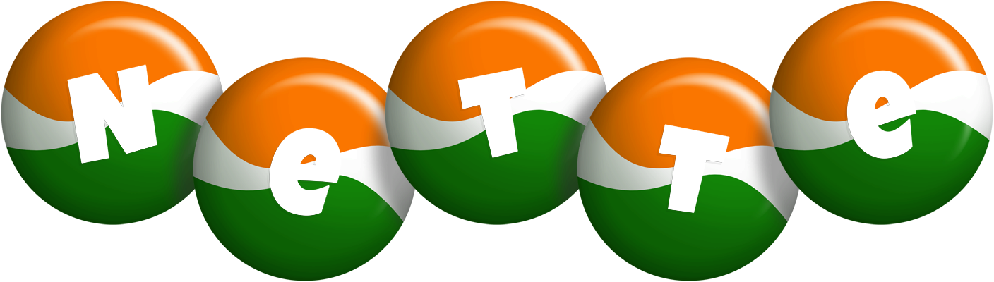 Nette india logo