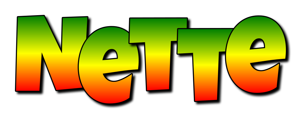 Nette mango logo