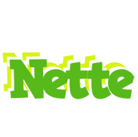 Nette picnic logo