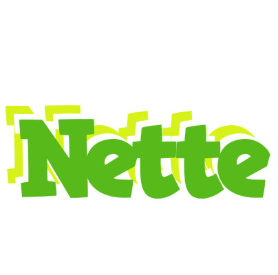 Nette picnic logo