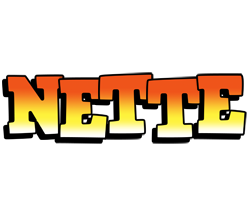 Nette sunset logo