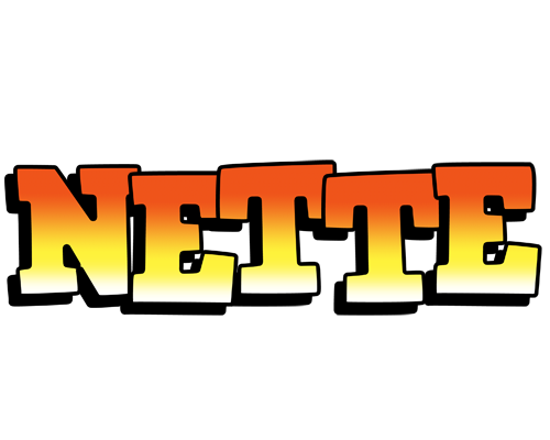 Nette sunset logo