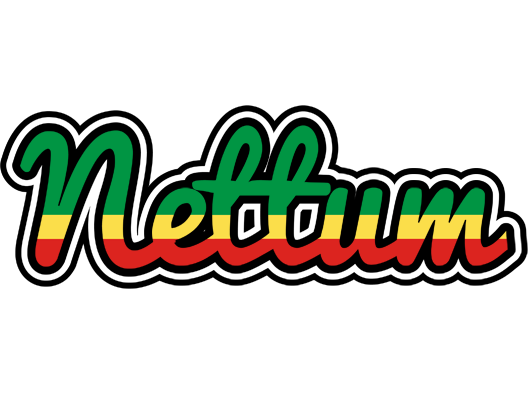Nettum african logo