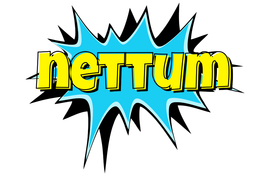 Nettum amazing logo