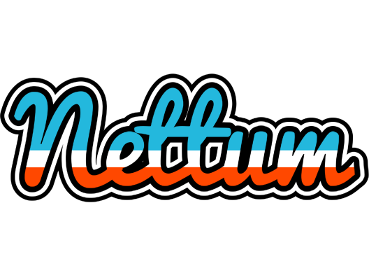 Nettum america logo