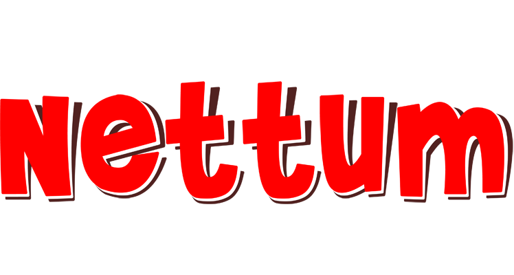 Nettum basket logo