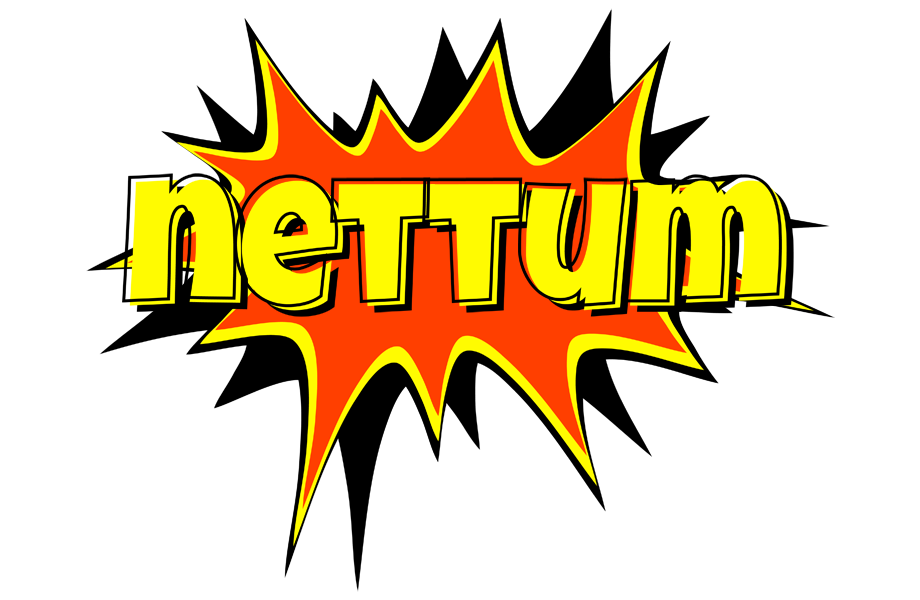 Nettum bazinga logo