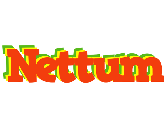 Nettum bbq logo