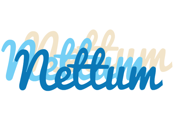 Nettum breeze logo