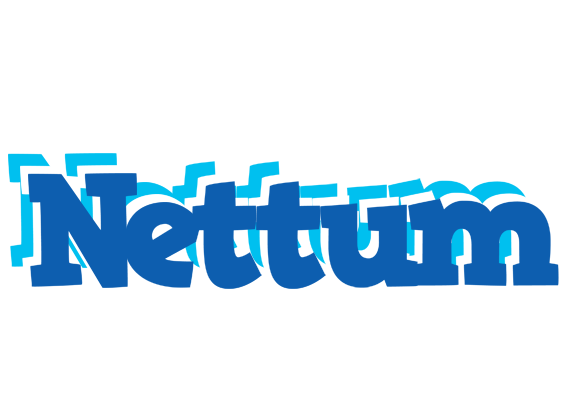 Nettum business logo