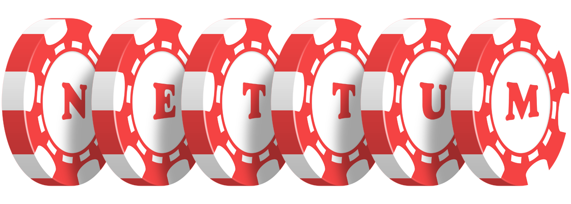 Nettum chip logo
