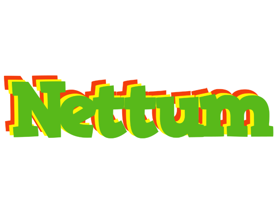 Nettum crocodile logo