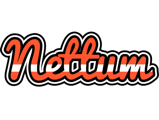 Nettum denmark logo