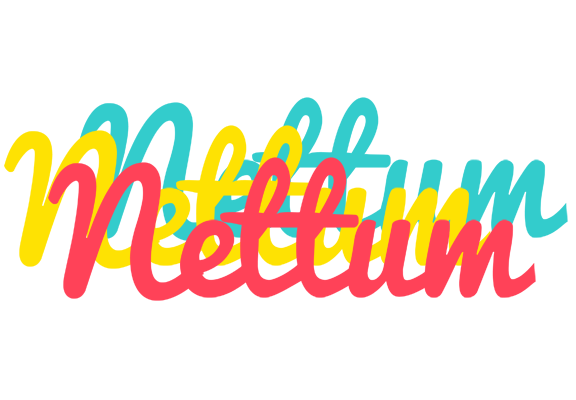 Nettum disco logo