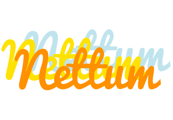 Nettum energy logo