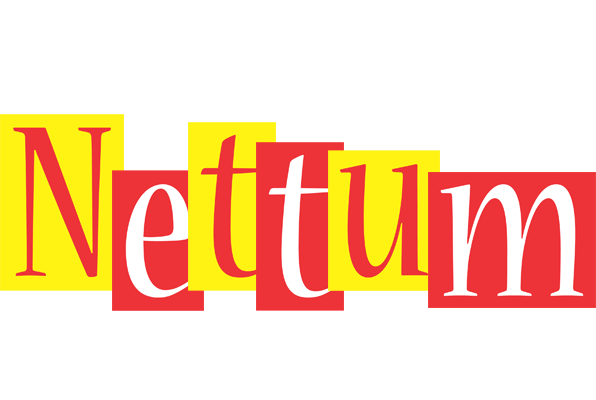 Nettum errors logo