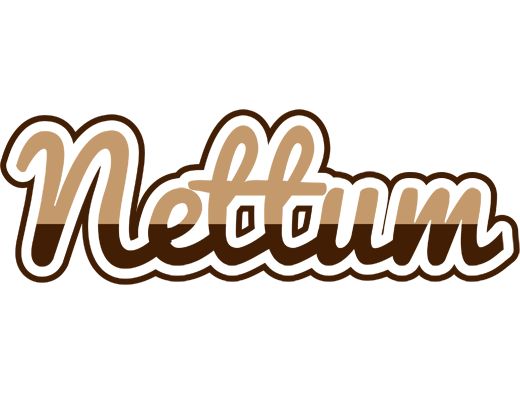 Nettum exclusive logo