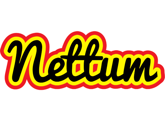 Nettum flaming logo