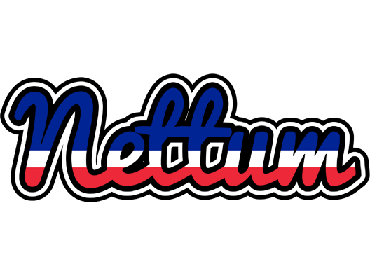 Nettum france logo