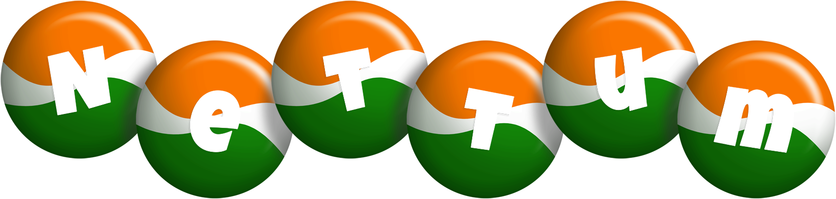 Nettum india logo