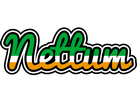 Nettum ireland logo