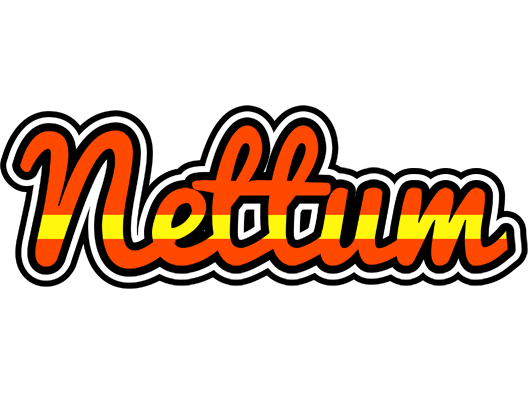 Nettum madrid logo