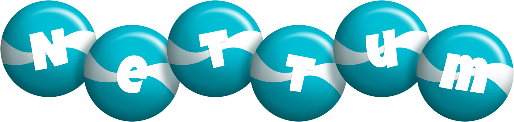 Nettum messi logo